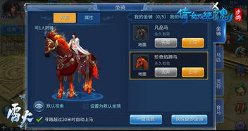 马匹强化攻略:揭秘高效提升技巧新秘籍 马匹强化攻略:揭秘高效提升技巧新秘籍