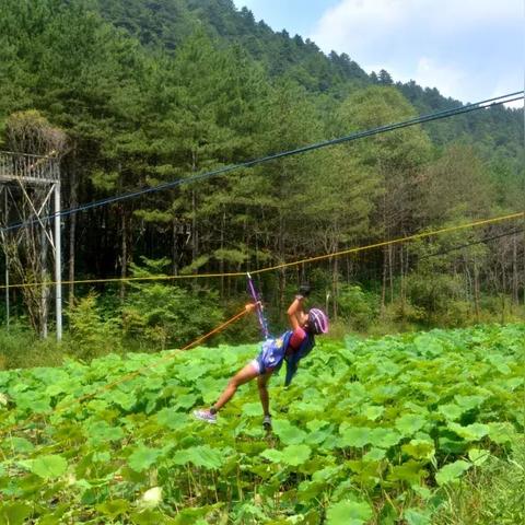 越野游戏盘点:十大经典排行,领略极限挑战新风采 越野游戏盘点:十大经典排行,领略极限挑战新风采