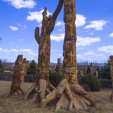 生物探秘,游戏精选,下载最新收集狂潮 生物探秘,游戏精选,下载最新收集狂潮