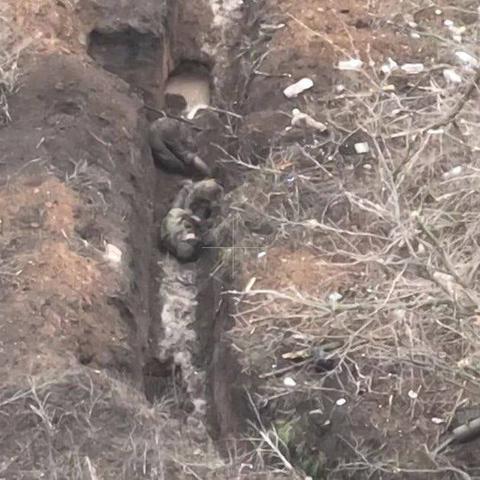 《战地6》11月25日盛大开启,一周免费试玩体验新高度! 《战地6》11月25日盛大开启,一周免费试玩体验新高度!