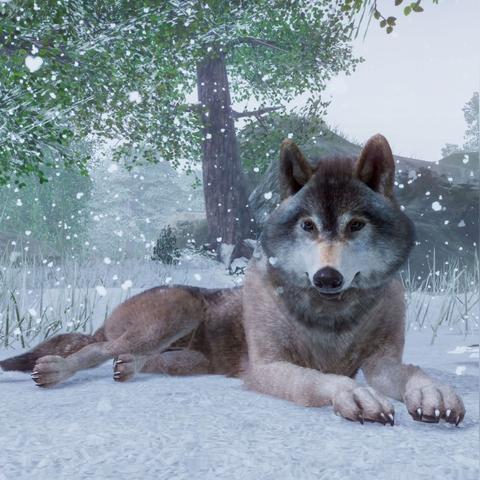 热门动物游戏盘点:精选佳作下载热,趣味无限新体验 热门动物游戏盘点:精选佳作下载热,趣味无限新体验