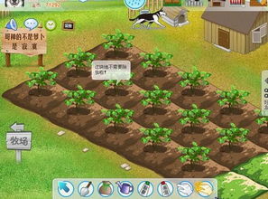 2024年农场模拟游戏精选:探索无限乐趣的农业新体验 2024年农场模拟游戏精选:探索无限乐趣的农业新体验