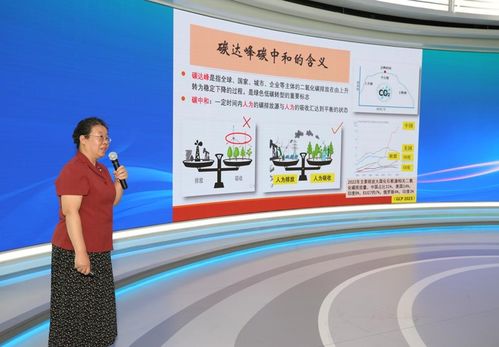 盘点热门教育游戏:探索创新学习体验新趋势 盘点热门教育游戏:探索创新学习体验新趋势