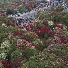 热门下载软件游戏榜单,揭秘热门新趋势 热门下载软件游戏榜单,揭秘热门新趋势