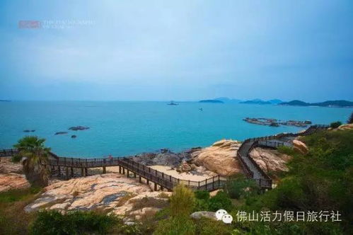 探秘东山岛:体验中国之旅,青蛙带你发现新风景 探秘东山岛:体验中国之旅,青蛙带你发现新风景