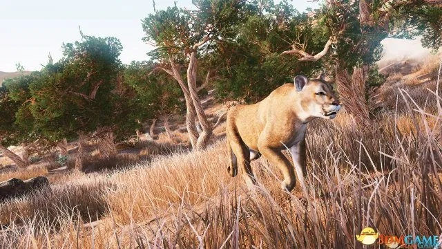 150小时沉浸不疲,荒野狩猎新体验意犹未尽 150小时沉浸不疲,荒野狩猎新体验意犹未尽