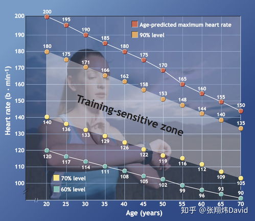 畅快体验,深度解析《有氧拳击3》polygon评测新视角 畅快体验,深度解析《有氧拳击3》polygon评测新视角