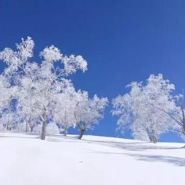 《无尽驰骋:角色探险公路之旅》 《无尽驰骋:角色探险公路之旅》