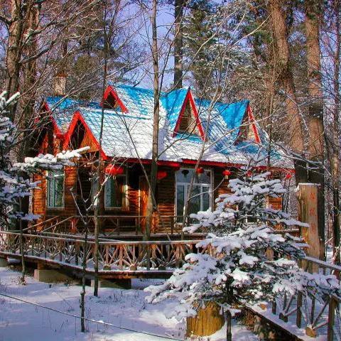 《怪物猎人：荒野》惊曝18分钟内幕，揭秘荒野狩猎新篇章！