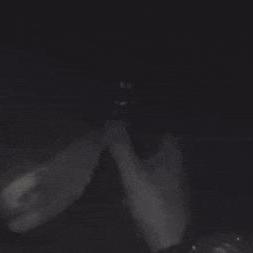 《潜水员戴夫》深度评测:8.75分,探秘水下冒险新境界 《潜水员戴夫》深度评测:8.75分,探秘水下冒险新境界