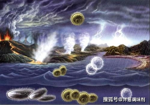 地球末路，狐母子绝境求生，揭秘生命传承新奇迹