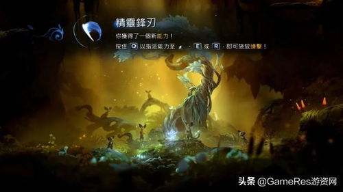 超凡惊喜探险,精灵萤火意志8.9分新体验 超凡惊喜探险,精灵萤火意志8.9分新体验