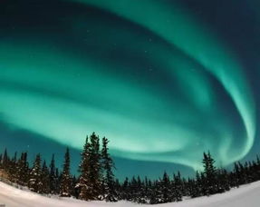 《精灵萤火续篇》深度剧情挑战,卓越新篇绽放璀璨光芒 《精灵萤火续篇》深度剧情挑战,卓越新篇绽放璀璨光芒