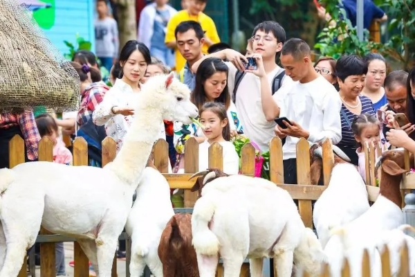 动物乐园自建指南,8.5分好评!爱宠控必看! 动物乐园自建指南,8.5分好评!爱宠控必看!