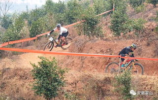 惊险山地骑行挑战,多路终点速降竞技新体验 惊险山地骑行挑战,多路终点速降竞技新体验