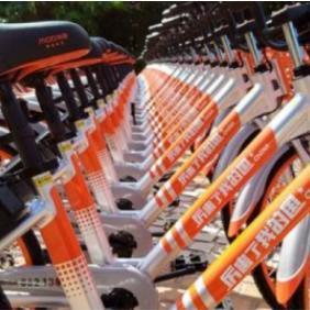 单车游戏人气巅峰,揭秘热门排行榜前十佳选 单车游戏人气巅峰,揭秘热门排行榜前十佳选