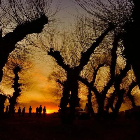 掌控奇境:揭秘光怪陆离的神秘魅力 掌控奇境:揭秘光怪陆离的神秘魅力