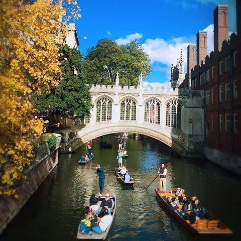 《悠久之树光队攻略秘籍:深度搭配解析》 《悠久之树光队攻略秘籍:深度搭配解析》