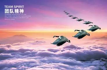 《辐射76》展望:剑指未来,永不言败,共创辉煌 《辐射76》展望:剑指未来,永不言败,共创辉煌