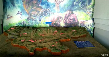 穿越百万年,探寻人类起源奥秘之旅 穿越百万年,探寻人类起源奥秘之旅