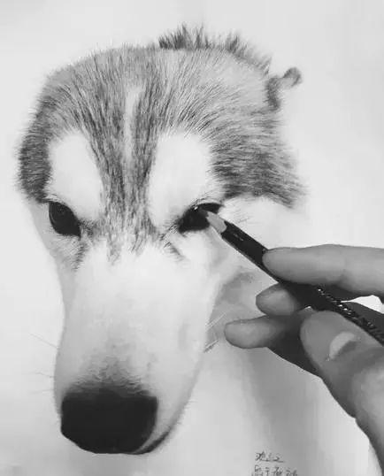 神笔狗再升级,绘画奇才新篇章 神笔狗再升级,绘画奇才新篇章