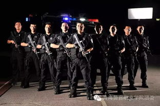 《智慧铸警魂,这就是警察的博大成功之道》 《智慧铸警魂,这就是警察的博大成功之道》