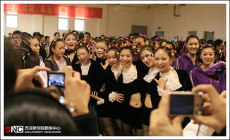 脑力激荡挑战,奥伯拉丁回归烧脑新体验 脑力激荡挑战,奥伯拉丁回归烧脑新体验