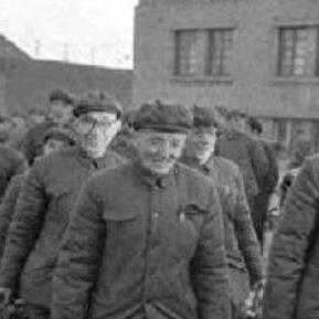 荒野重塑:救赎2,4小时极致体验,定义新世代游戏巅峰 荒野重塑:救赎2,4小时极致体验,定义新世代游戏巅峰