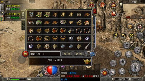 冰原守卫者攻略:匠人之心升级秘籍,高效通关技巧解析 冰原守卫者攻略:匠人之心升级秘籍,高效通关技巧解析