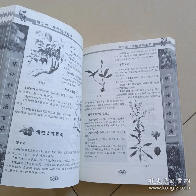 中药秘方宝典:传承千年养生智慧新解 中药秘方宝典:传承千年养生智慧新解