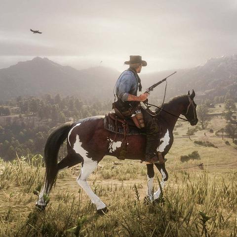 《荒野大镖客2》PC版图形设置大揭秘!独家曝光 《荒野大镖客2》PC版图形设置大揭秘!独家曝光