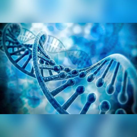 再谱科幻史诗,传奇版《质量效应》奏响新篇章 再谱科幻史诗,传奇版《质量效应》奏响新篇章