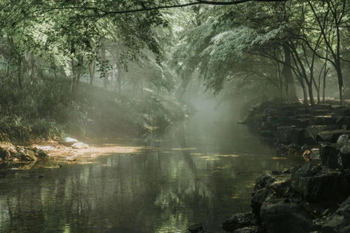 《森林之子》1.0正式版大升级:探索新秘境! 《森林之子》1.0正式版大升级:探索新秘境!