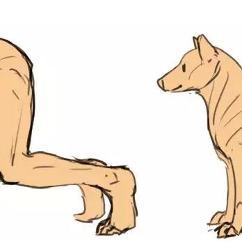 《幻想生活i》轻松刷稀有素材攻略，快速提升！