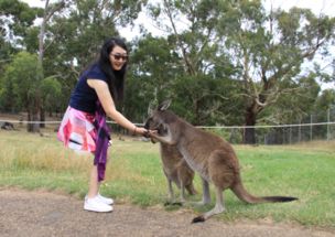《避难所2》母猞猁辛酸育儿路揭秘 《避难所2》母猞猁辛酸育儿路揭秘