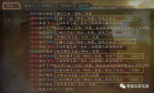 白板孙权搭配攻略:深度解析,战略新高度 白板孙权搭配攻略:深度解析,战略新高度