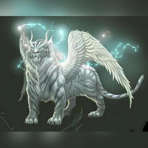 《上古5》典藏版图文盛宴:1100页彩图,骨灰粉必藏! 《上古5》典藏版图文盛宴:1100页彩图,骨灰粉必藏!