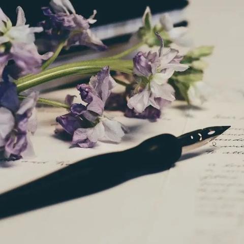 十大精选短篇游戏,揭秘热门趣味排行 十大精选短篇游戏,揭秘热门趣味排行