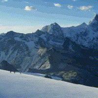 冰原守卫者勇闯试炼秘籍,解锁全新战斗技巧 冰原守卫者勇闯试炼秘籍,解锁全新战斗技巧