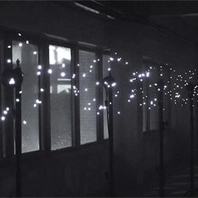 精选全动态影像游戏，揭秘沉浸式体验新境界