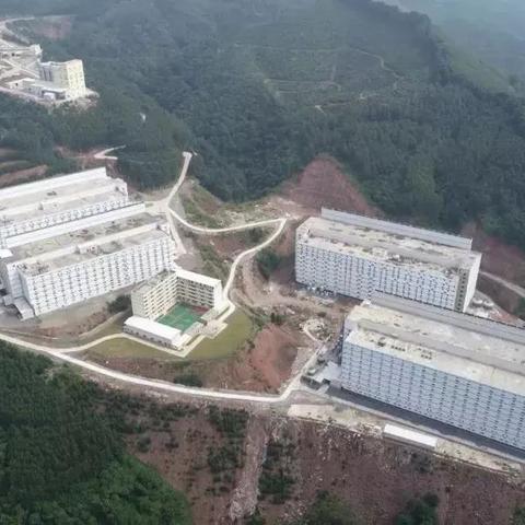 热门下载榜单,揭秘热门管理游戏排行秘籍 热门下载榜单,揭秘热门管理游戏排行秘籍