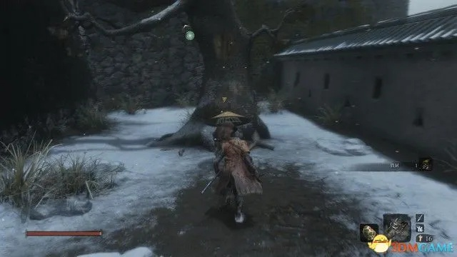 《只狼》全支线任务攻略:隐藏秘籍解锁全攻略 《只狼》全支线任务攻略:隐藏秘籍解锁全攻略