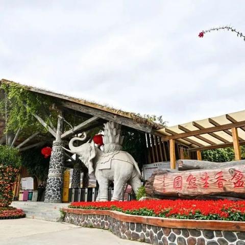 网红游戏盘点:揭秘十大热门必玩网红游戏排行 网红游戏盘点:揭秘十大热门必玩网红游戏排行