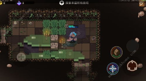 动物森林:终极BOSS攻略,高效通关秘籍大公开 动物森林:终极BOSS攻略,高效通关秘籍大公开