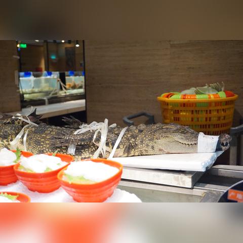 盘点热门派对游戏,解锁超好玩新玩法 盘点热门派对游戏,解锁超好玩新玩法