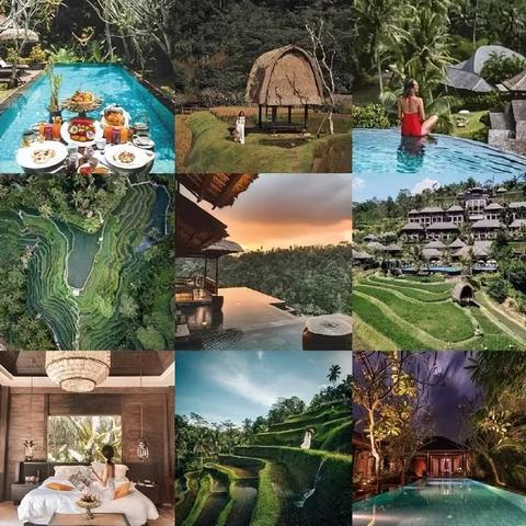 《小鸡大探险》揭秘:世纪难题答案发售倒计时! 《小鸡大探险》揭秘:世纪难题答案发售倒计时!