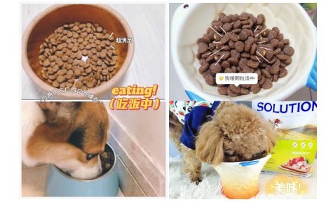 催泪游戏盘点:十大耐玩排行,揭秘最佳情感体验之旅 催泪游戏盘点:十大耐玩排行,揭秘最佳情感体验之旅