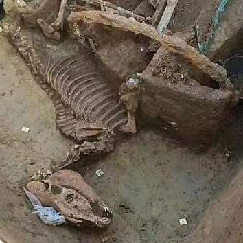 耐玩马匹游戏盘点:十大热门下载排行推荐 耐玩马匹游戏盘点:十大热门下载排行推荐