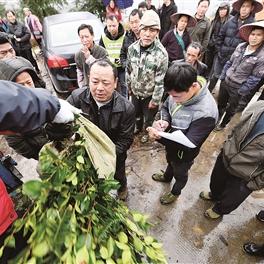 烟雨江湖新区攻略:高效开荒秘籍,轻松升级新体验 烟雨江湖新区攻略:高效开荒秘籍,轻松升级新体验