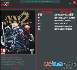 《影子武士2画质揭秘：PC版高画质对比，视觉盛宴超越时代》